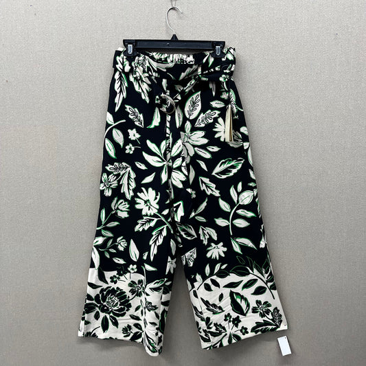 Eliane Rose Floral Wide-Leg Pants Women's Size S