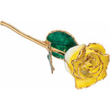 Lacquered Cream Yellow Rose with Gold Trim