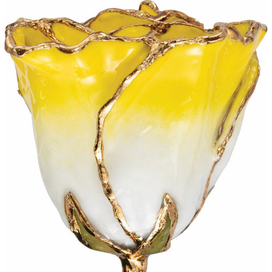 Lacquered Cream Yellow Rose with Gold Trim